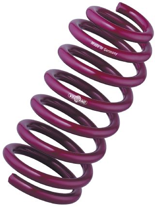 Epcp_1010_04_o+vogtland+lowering_springs