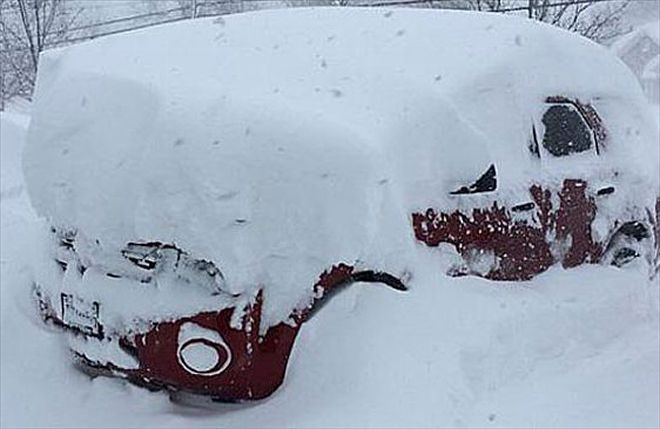 Car Burried In Snow