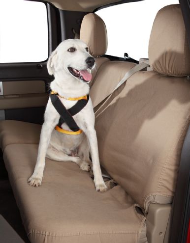 Pet Travel Safety Tips and Products