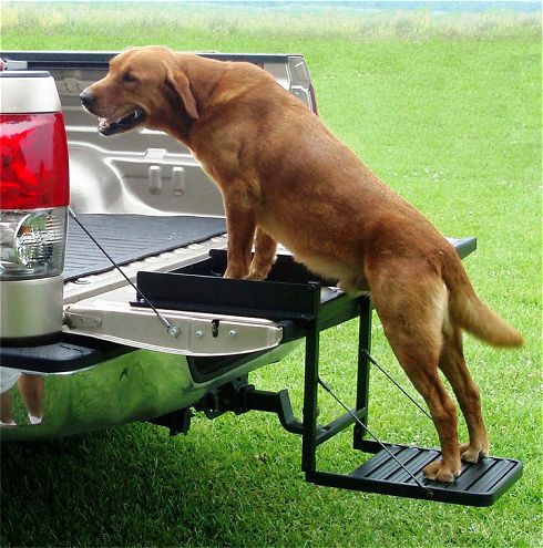 truck N Buddy Pickup Step dog View