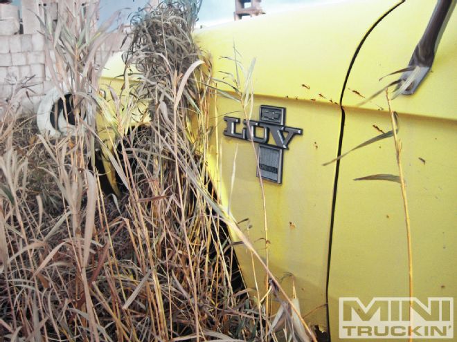 Chevy LUV Junkyard Jewel - Part 1