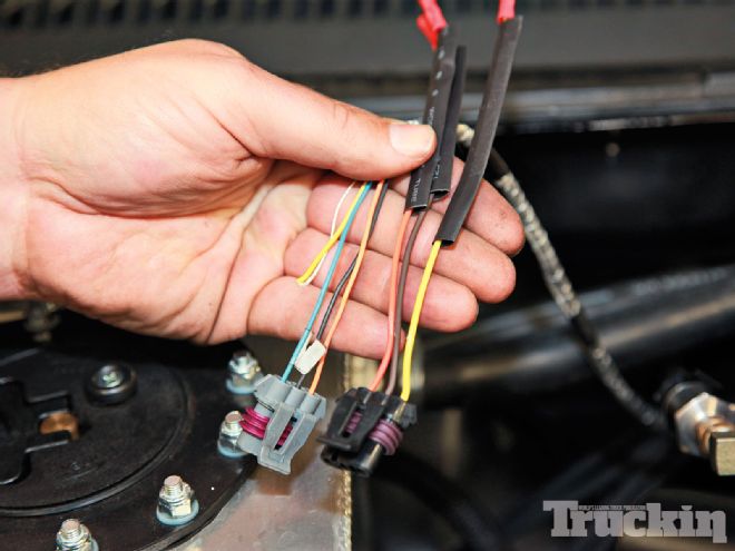 Holley Dominator EFI Management System Install