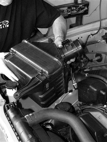 Toyota Tacoma - BRUTE FORCE